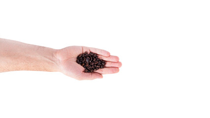 Coffee beans in hands on white background. Coffee isolated.