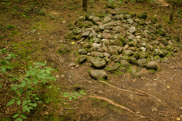 Stones, roots and trees in forest, Pokaini, Latvia.