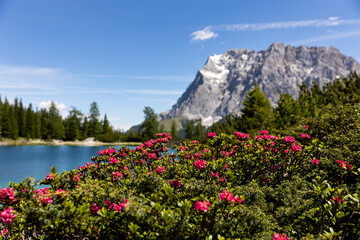 Seebensee in Tirol, Österreich