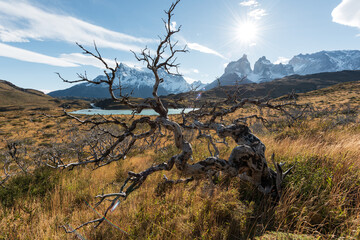 Chile's natural scenery, world-famous mountain peaks, travel in Torres del Paine National Park,...