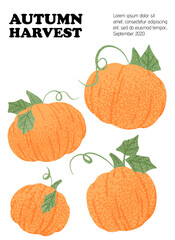 Autumn harvest vector card design. Veggie pumpkin packaging concept. Vector pumpkin cartoon illustration.