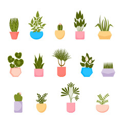 Set of home plants in pots. Vector collection of house plants in flat style.