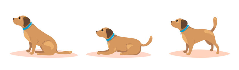 Set of poses of dog. Pet training concept. Vector illustration.