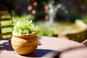 Provencal garden of small typical town in Provence, France. Beautiful village, with french cute details.