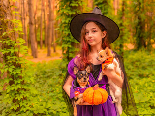 Halloween and celebration. Girl in witch costume with Halloween pumpkin outdoors holds a dogs.