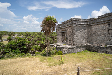 ancient mayan ruins in tulum, mexico