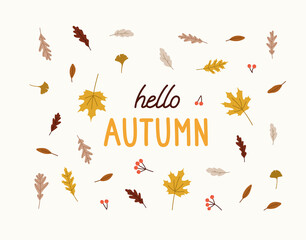 Hand-drawn autumn card with leaves, and hand lettering. Concept of fall, autumn, nature, forest plants, tree foliage, harvesting time. Colored vector illustration, isolated on white.