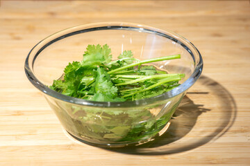 Close up with fresh coriander is prepared in a water glass bowl on wood plate background.