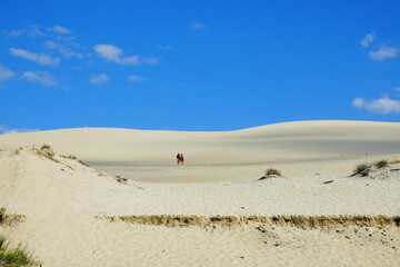 La Dune du Pilat, promenade autour d'un paysage exceptionnel, près de Bordeaux, en France