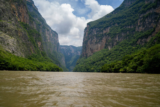 jungle in ca&ntilde;on del sumidero national park in chiapas, mexico
