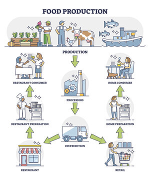 Food Production, Processing And Distribution Chain System Outline Diagram. Labeled Educational Scheme With Home Or Restaurant Consumer Preparation With Product Purchase From Retail Vector Illustration