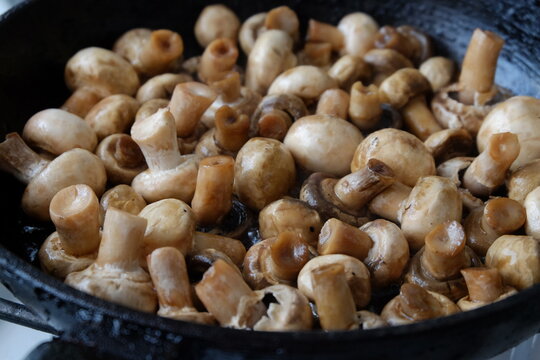 texture of mushrooms fried in sunflower oil close up