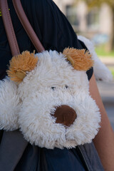 A soft toy in the bag. A stuffed dog