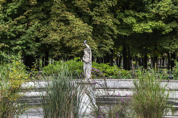 Flower arrangements on flowerbeds in the public Paris garden: Tuileries Park (Jardin des Tuileries). Catherine de Medici created Garden in 1564. Paris, France.