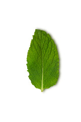 Fototapeta na wymiar One fresh mint leaves isolated on white background