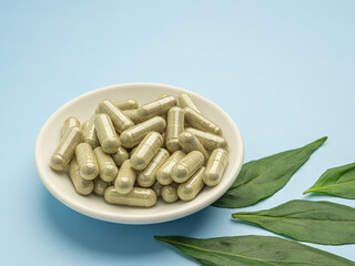 Andrographis paniculata capsules are in a white dish and green leaves are isolated on a blue background. Space for text. Herbal, medicine, and healthcare concept