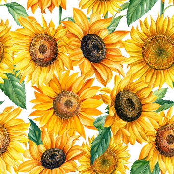 Seamless pattern of sunflowers, autumn background. Watercolor illustration 