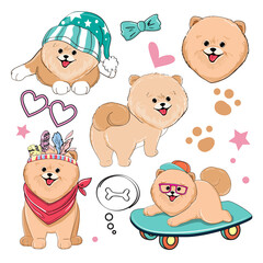 Cute collection of Spitz dogs stickers. Vector illustration for t-shirt design, nursery decorations. Funny cartoon animals
