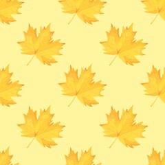 Naklejka na ściany i meble Seamless Maple Leaves Pattern on Yellow Background: Symbol of Autumn and Canada