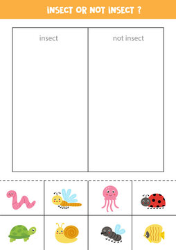 Sort Cards Into Categories. Insects Or Not Insects. Logical Game For Children.