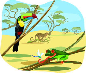 Vector illustration with toucan bird, tropical frog, insect and leopard in the background. Summer landscape with inhabitants of the savannah and tropics, lianas, sands, trees. Cartoon illustration.