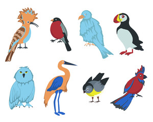 Set of cartoon birds on white background. Vector elements for design