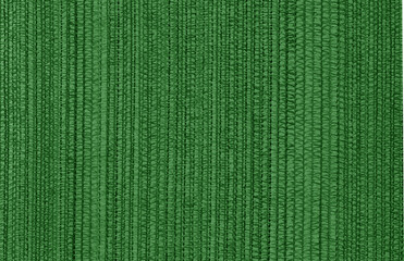 Wall and construction plastic cover in green color.