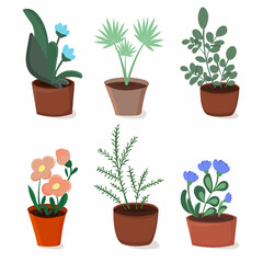 A set of houseplants. Plants in ceramic pots. Flat vector illustration
