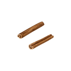 Dried cinnamon sticks isolate on white background. Watercolor illustration. Hand drawn clipart.