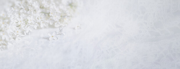 Springtime banner with branch of blooming white lilac flowers on the background of a white knitted napkin. Free copy space for text