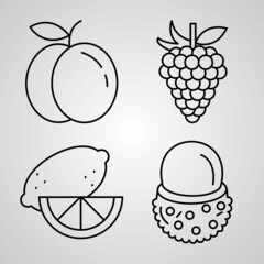 Simple Icon Set of Fruit Related Line Icons