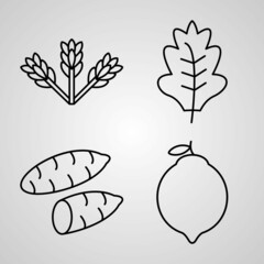 Set of Thin Line Flat Design Icons of Vegetable