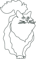 A fluffy cat. Vector line art illustration.