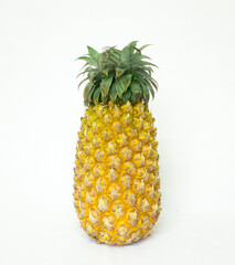 freshly picked ripe, golden-yellow pineapple along with its green, leafy head isolated in a white background