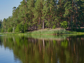 Fototapeta na wymiar Beautiful colorful summer spring natural landscape with a lake in Park surrounded by green foliage of trees in sunlight and stone path in foreground.