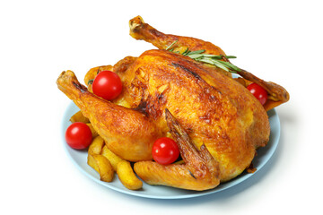 Thanksgiving Day roast turkey on white background
