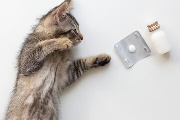 Top view of tablet for adult and tube for child with helminths medicine and kitten on the white background