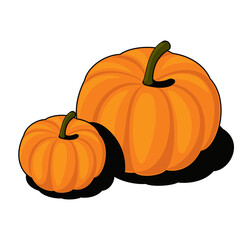 Pumpkins. Vector 3d sketch line isometric, color icon illustration, flat style. Creative design idea and elements for infographics and website.