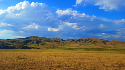 Fototapeta na wymiar Golden field in front of the mountains
