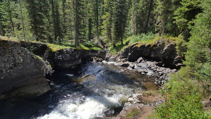 Mountain waterfall in the forest