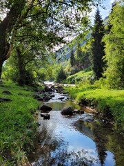 Obraz premium Mountain Creek