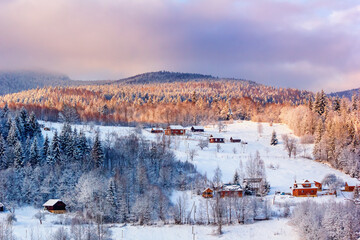 Winter landscape in Carpathian mountain village with snow covered trees. Beauty of countryside concept background