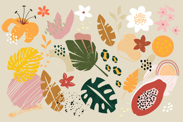 Collection of various doodle shapes of tropical leaves and flowers. Abstract modern and trendy elements. Vector illustration isolated