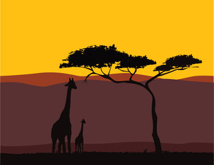 Fototapeta na wymiar giraffe in the sunset with trees in background