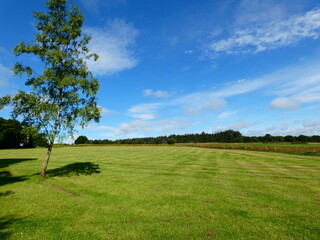 Green landscape, blue sky, Yorkshire, UK