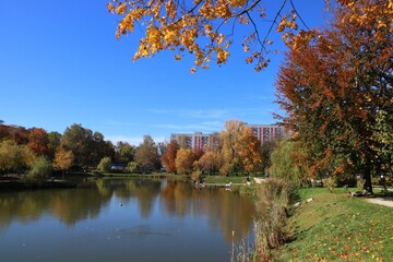 City park autumn in Bytom, Poland