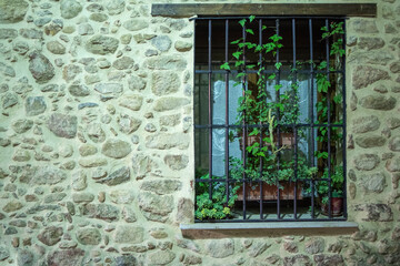 old window with flowers between the iron bars