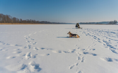 Winter fishing. Fisherman with the dog on a lake at winter sunny day.
