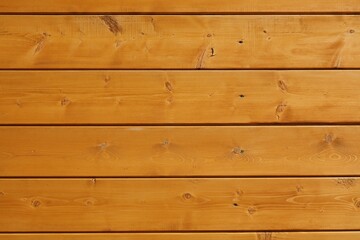 Fototapeta premium Larch wood texture