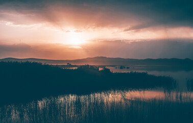 Sunset over a field of reeds. Fantastic landscape.